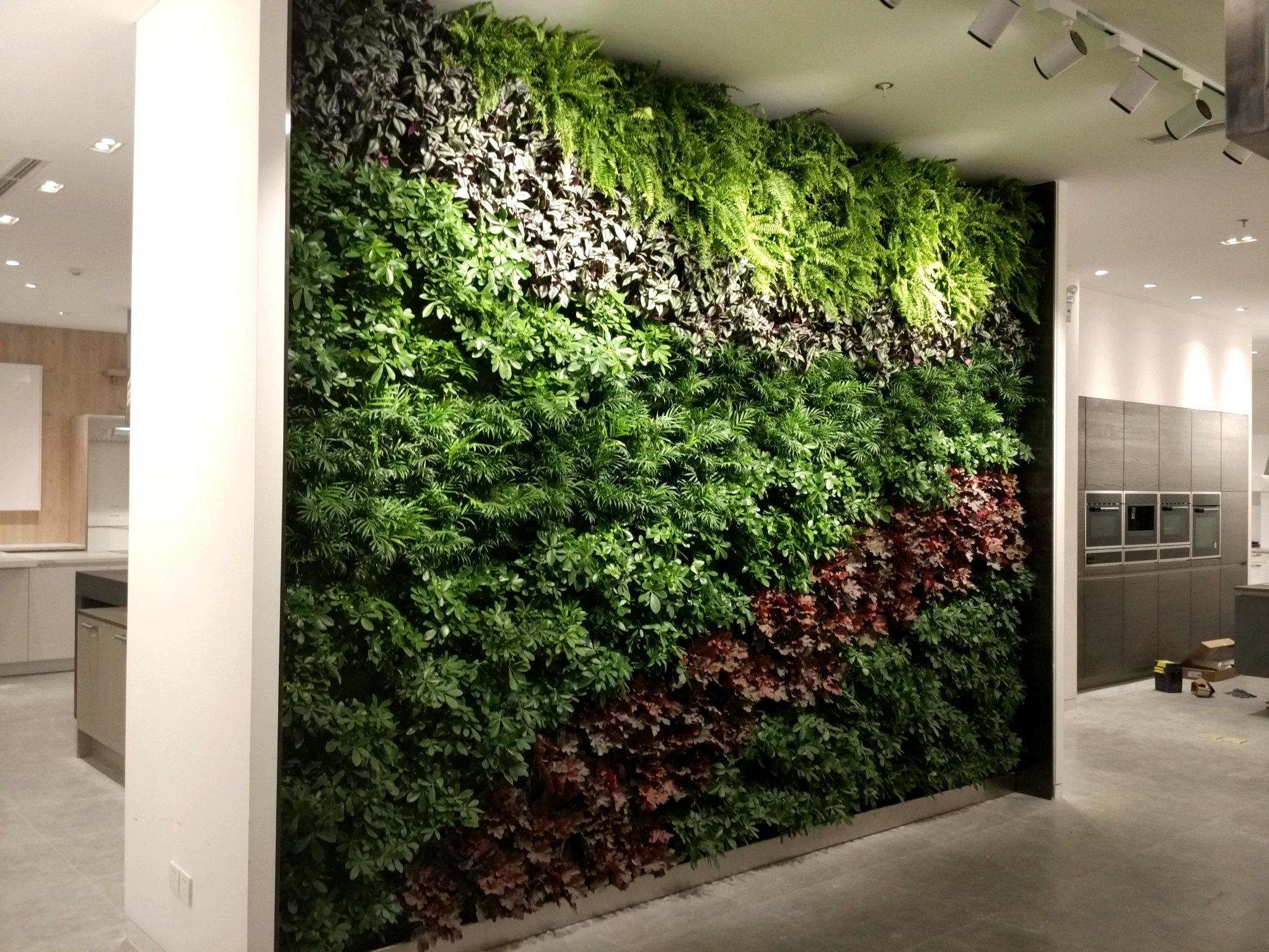 红星美凯龙植物墙